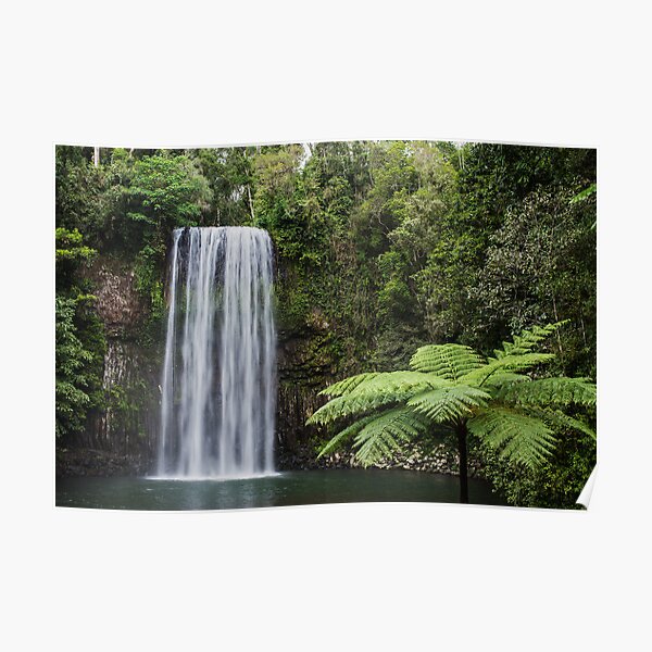 Millaa Millaa, Queensland, Australia. Poster
