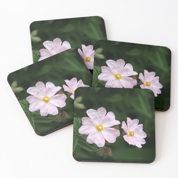Item preview, Delicate Beauty designed and sold by coffeebean.