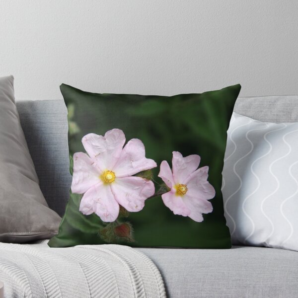 Item preview, Delicate Beauty designed and sold by coffeebean.