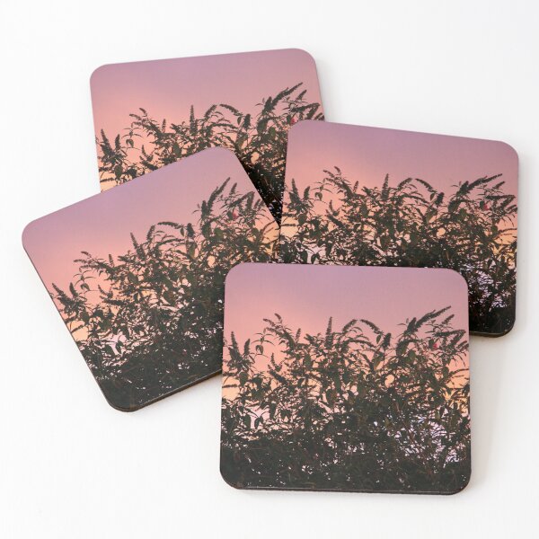 Item preview, Dawn Of Light designed and sold by coffeebean.