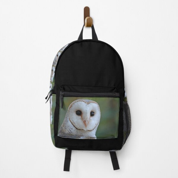 Item preview, Barn Owl face designed and sold by quentinjlang.