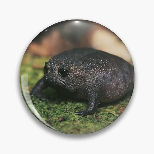 Item preview, sad frog designed and sold by nicolehrr-.