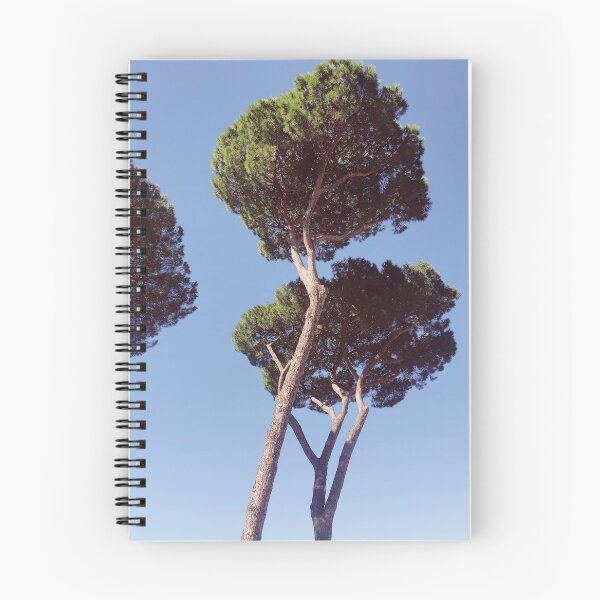 Item preview, Tall Green Trees with Blue Sky designed and sold by camronmorrissey.