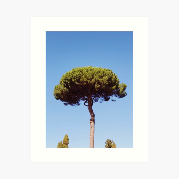 Aperçu de l'œuvre Arbre vert avec un ciel bleu créée et vendue par camronmorrissey.