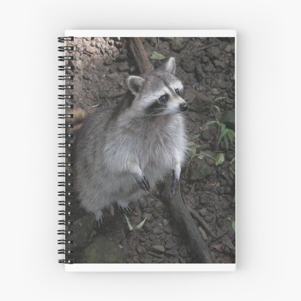 Item preview, Animals designed and sold by MarineM15.