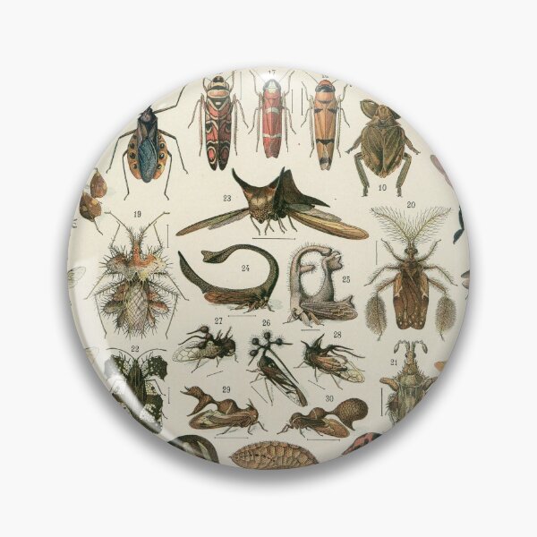 Item preview, Insects 1 designed and sold by Salocin.
