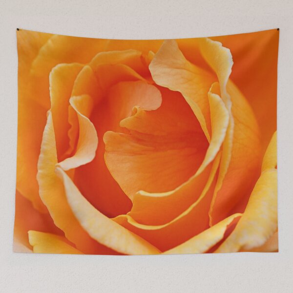 Item preview, Orange Warm Full Rose designed and sold by Joy Watson - Natural Light Photography .