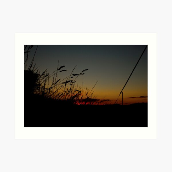 After sunset in the paddock Art Print