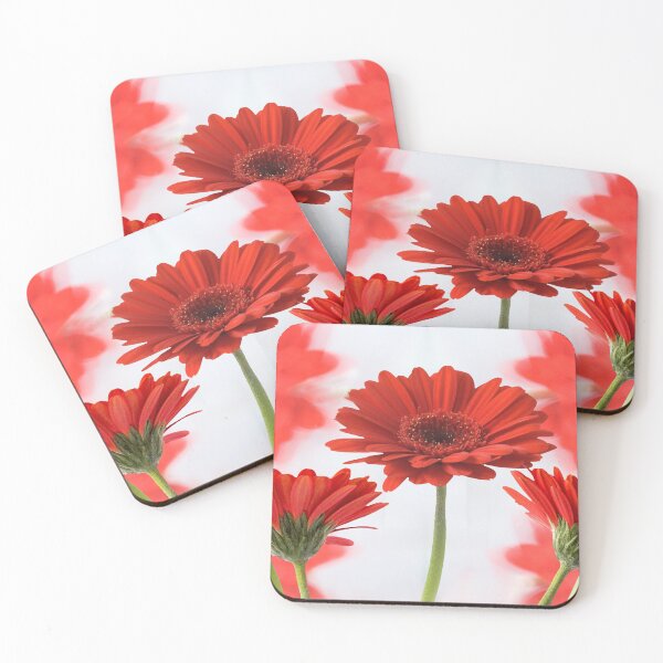 Item preview, Gerberas designed and sold by Ceri Jones.