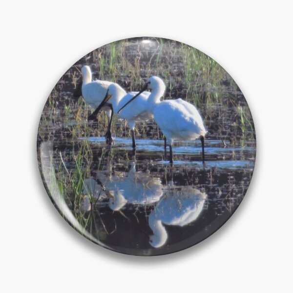 Item preview, Three Spoonbills designed and sold by wiggyofipswich.