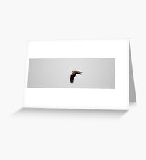 wing swing Greeting Card