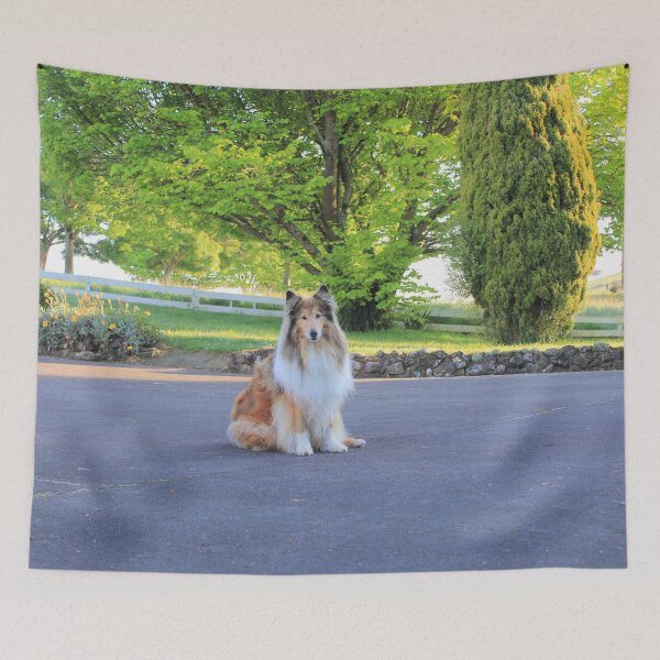 Item preview, Sitting Rough Collie designed and sold by KarenWoodArt.