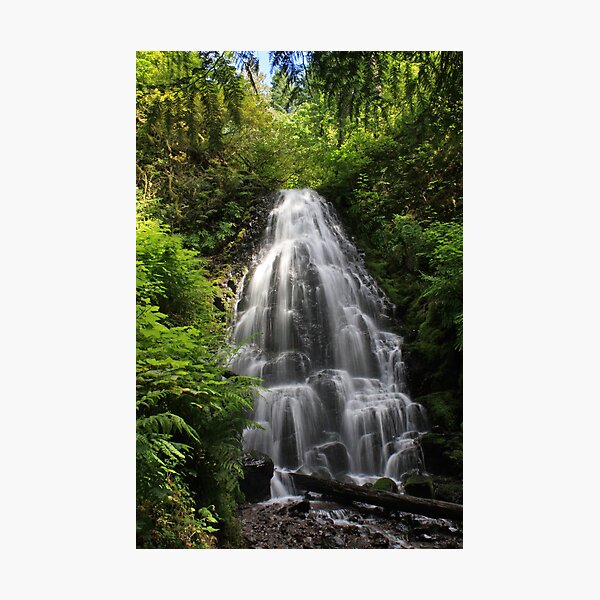 Fairy Falls, Columbia River Gorge, Oregon Photographic Print