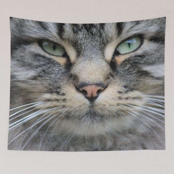 Item preview, Cat Face designed and sold by KarenWoodArt.