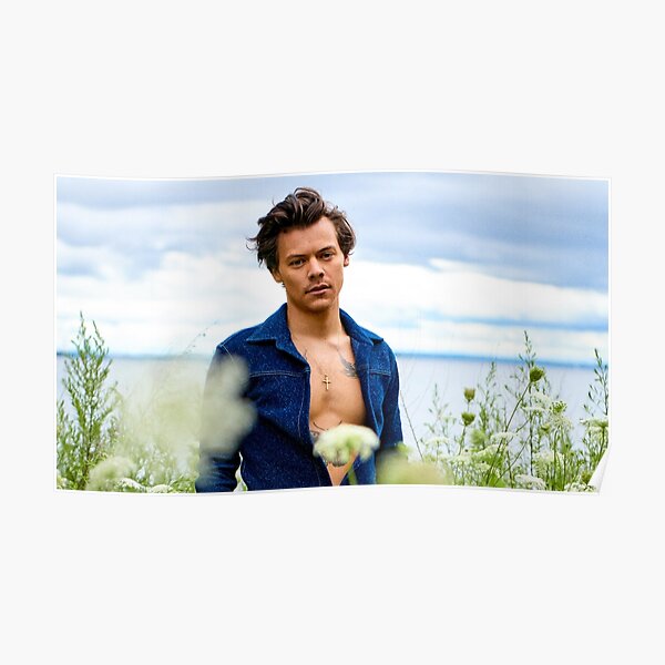 candid harry and flowers Poster