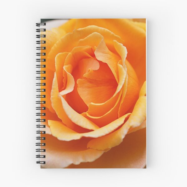 Item preview, Orange Warm Full Rose designed and sold by Joy Watson - Natural Light Photography .