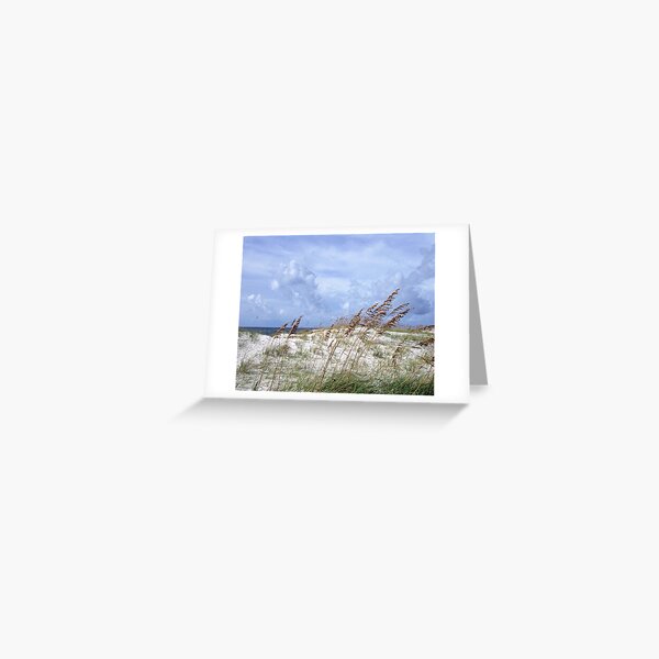 Crossing the Last Dune Greeting Card
