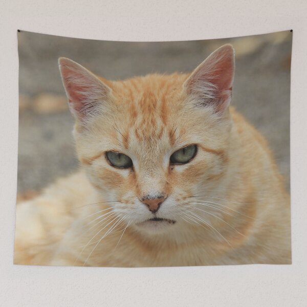 Item preview, Orange Tabby Cat designed and sold by KarenWoodArt.