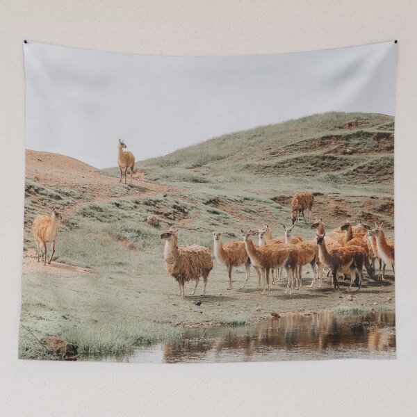 Item preview, Your favorite Lama photo designed and sold by Leen Leblans.