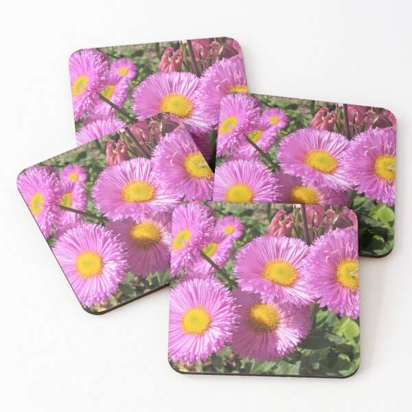 Item preview, Pink and Yellow Spikey Erigeron Flower designed and sold by GoNatureDesigns.