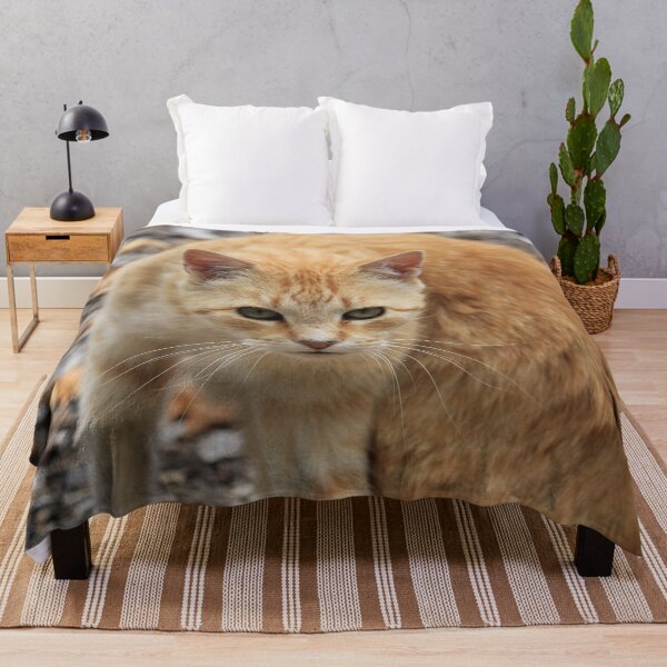 Item preview, Ginger Cat designed and sold by KarenWoodArt.