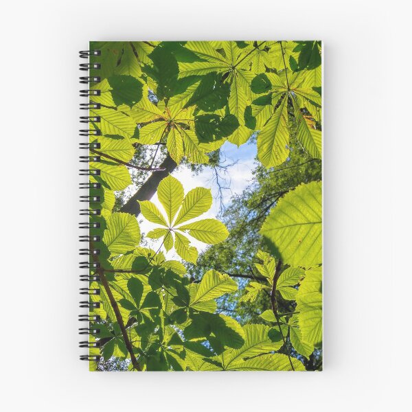 Item preview, Canopy designed and sold by Melodie Maker art.