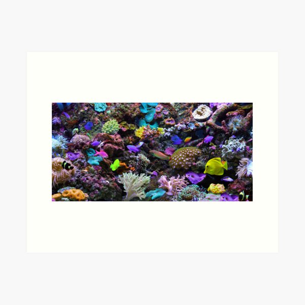 Artikel-Vorschau von Das Great Barrier Reef, designt und verkauft von Steve Bass.