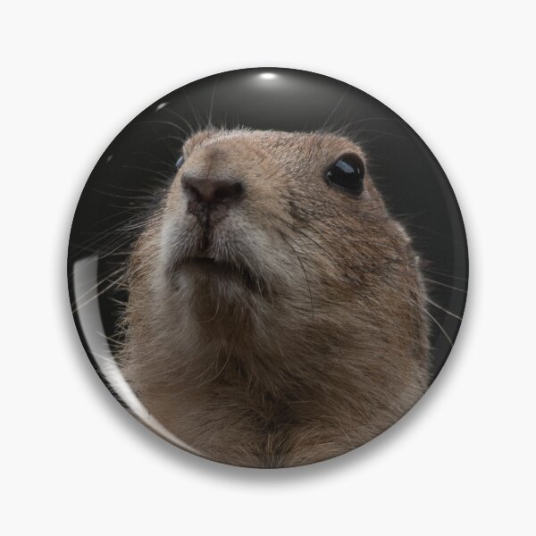 Item preview, Prairie Dog Lookout designed and sold by rawshutterbug.