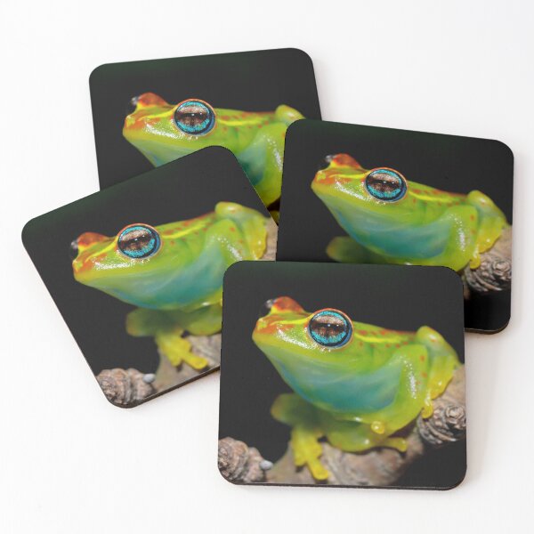 Item preview, Madagascar Bright-Eyed Frog designed and sold by ReptileAmphibia.