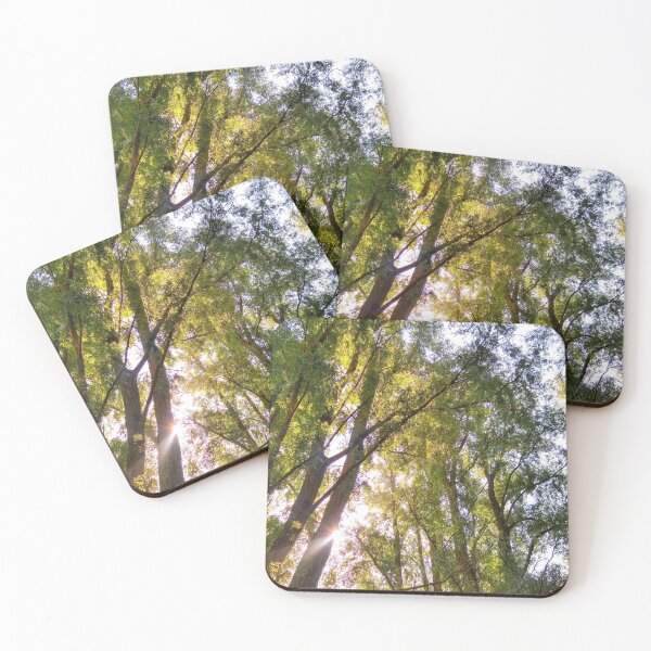 Item preview, Forest designed and sold by Melodie Maker art.