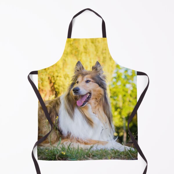 Item preview, Collie Gold designed and sold by KarenWoodArt.