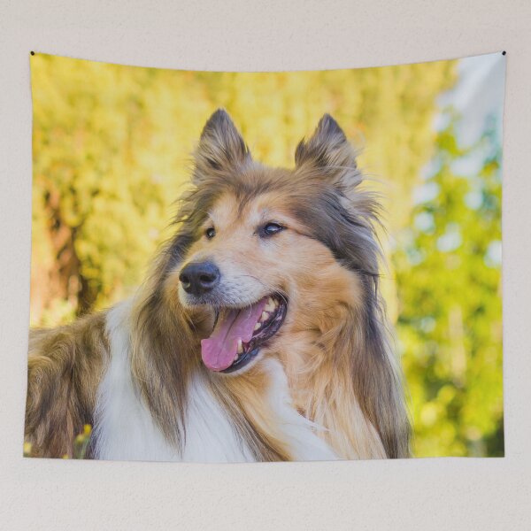 Item preview, Collie Gold designed and sold by KarenWoodArt.