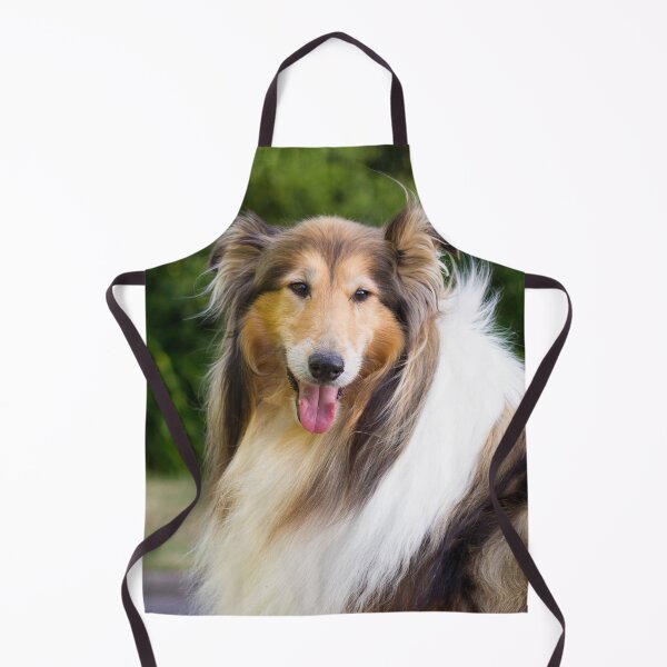Item preview, Collie Standing On Stone Wall designed and sold by KarenWoodArt.