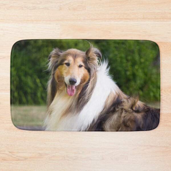 Item preview, Collie Standing On Stone Wall designed and sold by KarenWoodArt.