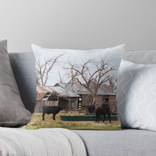 Item preview, Black cattle designed and sold by Anne Scantlebury.