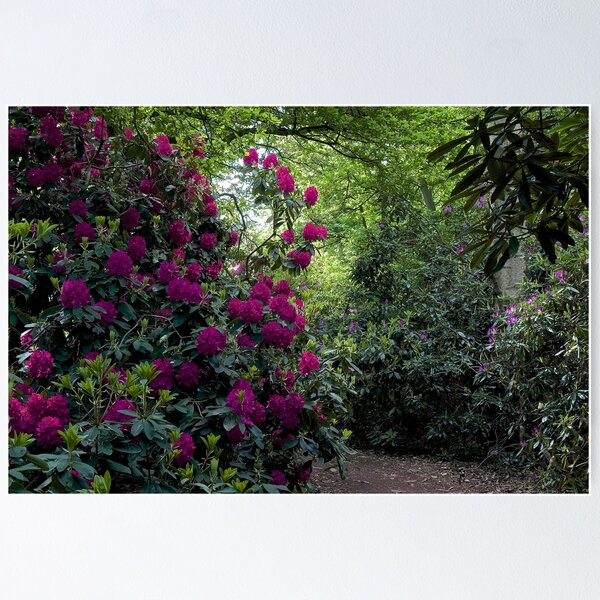 Item preview, A quiet walk designed and sold by John (Mike)  Dobson.
