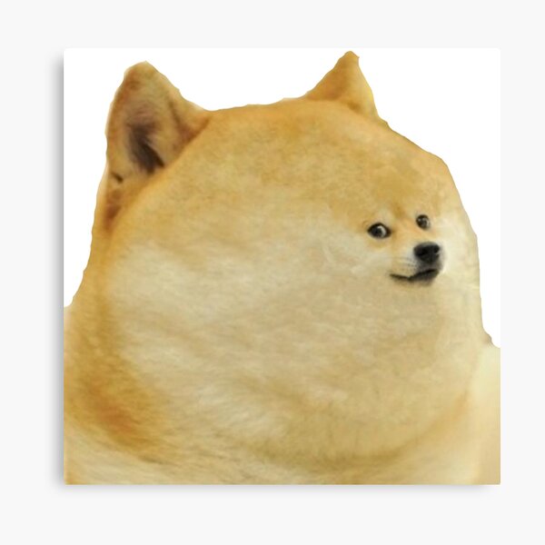 Doge Canvas Prints Redbubble - tiny doge roblox