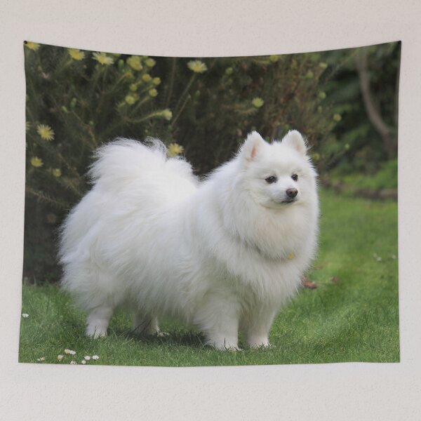 Item preview, Garden Spitz  designed and sold by KarenWoodArt.