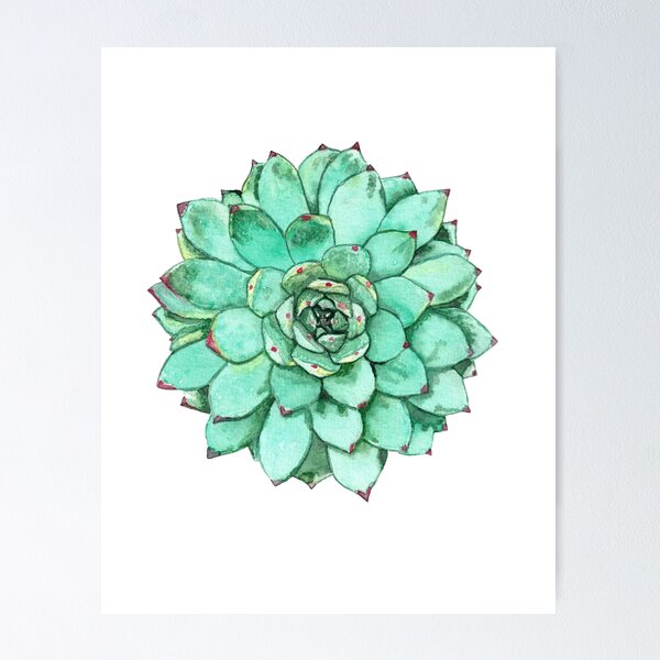 Item preview, Watercolor Succulent designed and sold by jaimemarilyn.