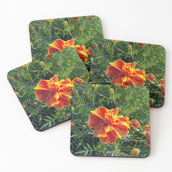 Item preview, Marigold designed and sold by Sanesapien.