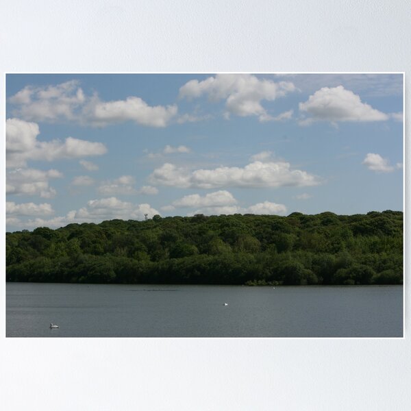 Item preview, Ruislip Lido designed and sold by Sara Hasted.