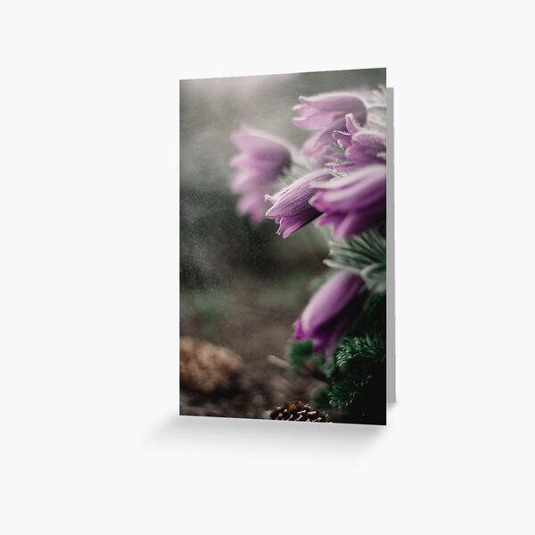 Pink flowers with rain particles in the air Greeting Card