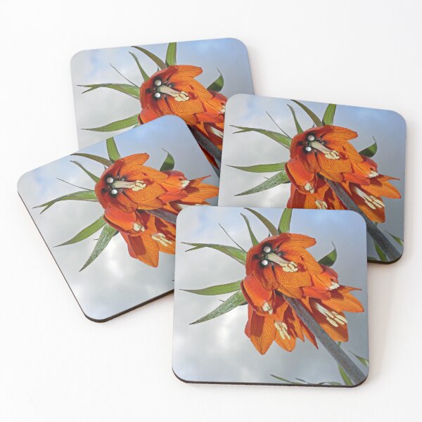 Item preview, Orange Fritillaria from underneath designed and sold by Avril Harris.
