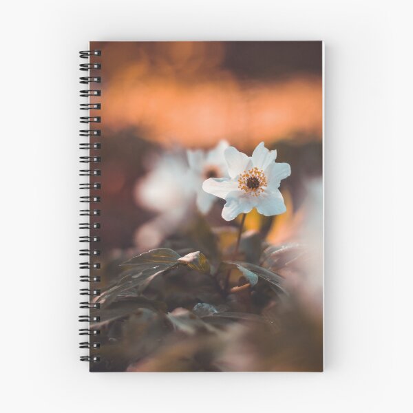 Item preview, White wooden anemone macro with brown and orange bakground designed and sold by macroviewpoint.