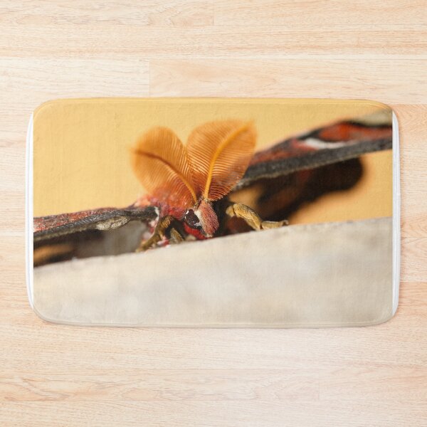 Item preview, Giant atlas moth closeup designed and sold by GreyFeatherPhot.