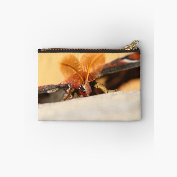Item preview, Giant atlas moth closeup designed and sold by GreyFeatherPhot.
