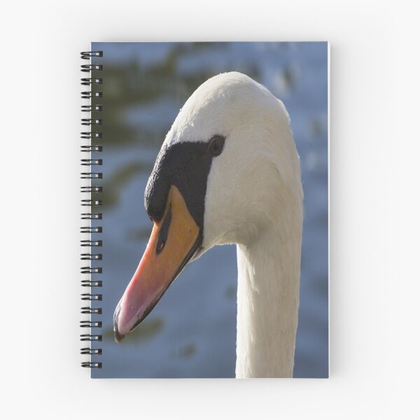 Item preview, The Watchful Swan designed and sold by Londonimages.