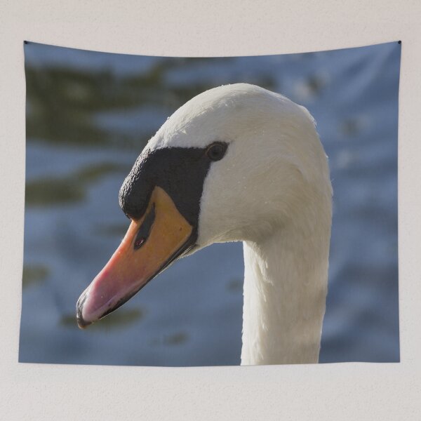 Item preview, The Watchful Swan designed and sold by Londonimages.