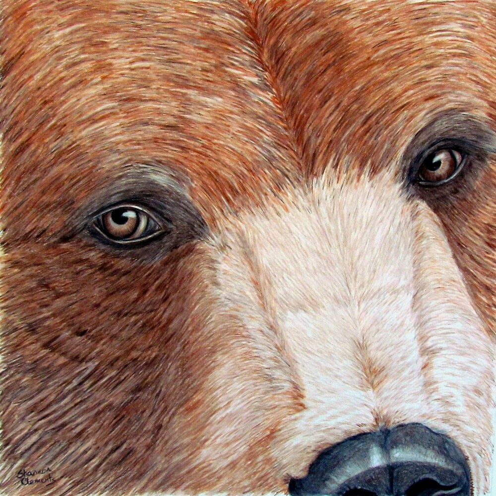 "Brown Bear Eyes" by ShannonClements Redbubble