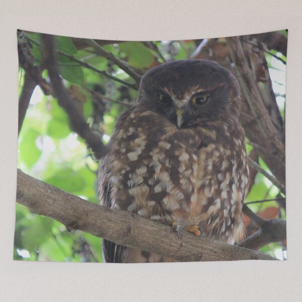 Item preview, Watchful Owl designed and sold by KarenWoodArt.